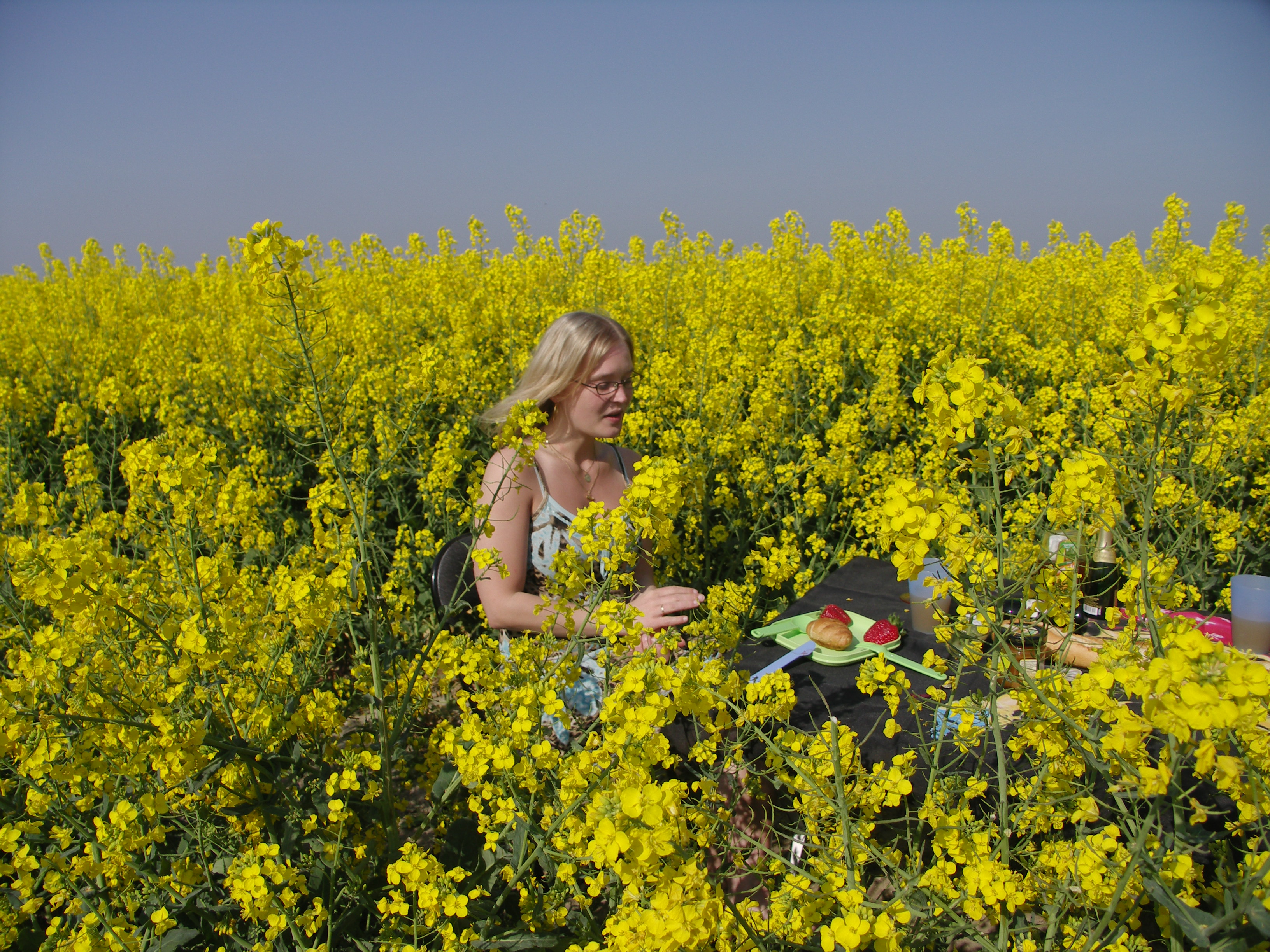 geschlossene Gruppen (nicht öffendlich)